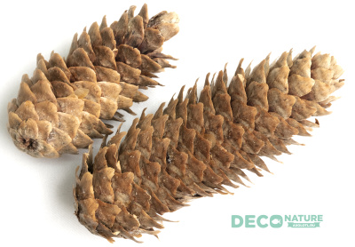 DECO NATURE FIR CONES - Еловые шишки, 4 шт